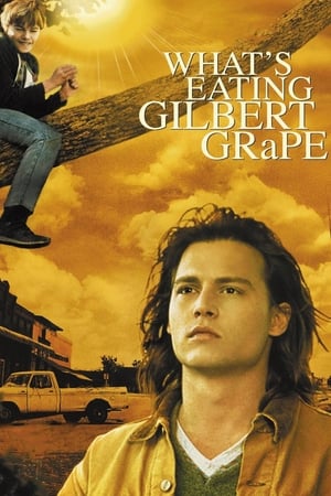 Whats Eating Gilbert Grape (1993) รักแท้เลือกไม่ได้