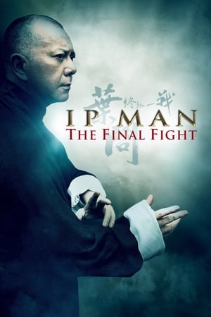 Ip Man 4.1 The Final Fight (2013) หมัดสุดท้าย ปรมาจารย์ยิปมัน