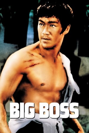 The Big Boss (1971) ไอ้หนุ่มซินตึ๊ง