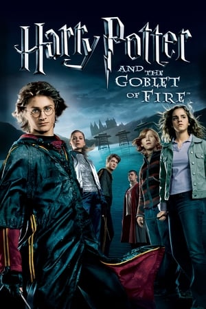 Harry Potter and the Goblet of Fire (2005) แฮร์รี่ พอตเตอร์ กับ ถ้วยอัคนี