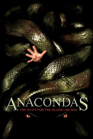 Anacondas 2 (2004) อนาคอนดา เลื้อยสยองโลก 2 ล่าอมตะขุมทรัพย์นรก