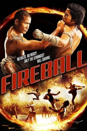 Fireball (2009) ท้าชน