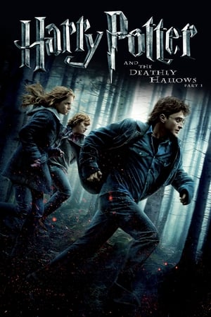 Harry Potter 7.1 and the Deathly Hallows Part 1 (2010) แฮร์รี่ พอตเตอร์ กับ เครื่องรางยมทูต ภาค 1