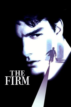 The Firm (1993) องค์กรซ่อนเงื่อน (ซับไทย)