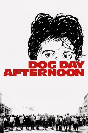 Dog Day Afternoon (1975) ด็อก เดย์ อาฟเตอร์นูน