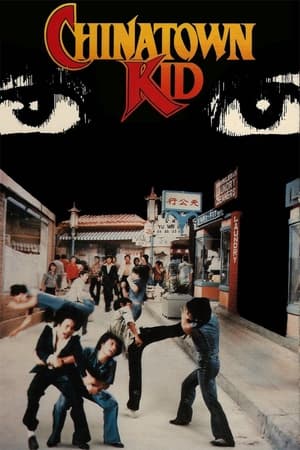 Chinatown Kid (1977) ไอ้ซินตึ้งหน้าหยก