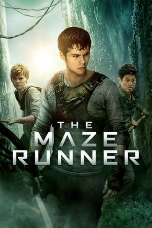 The Maze Runner 1 (2014) เมซ รันเนอร์ 1 : วงกตมฤตยู