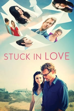 Stuck in Love (2012) หลุมรักพลางใจ