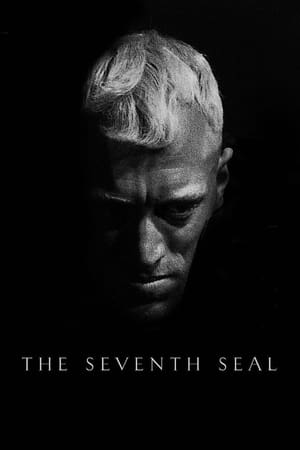 The Seventh Seal (1957) พระเจ้า ยมทูต มนุษย์ (ซับไทย)