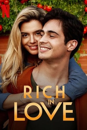 Rich in Love (2020) ซับไทย
