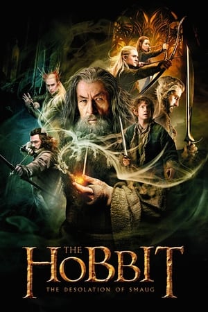 The Hobbit 2 The Desolation of Smaug (2013) เดอะ ฮอบบิท 2 : ดินแดนเปลี่ยวร้างของสม็อค