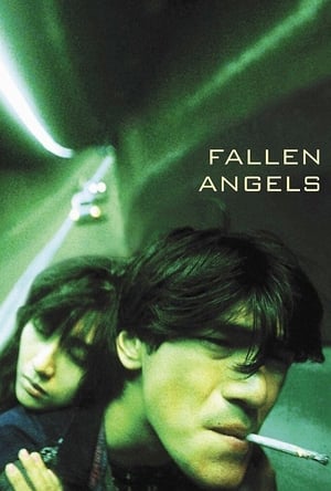 Fallen Angels (1995) นักฆ่าตาชั้นเดียว