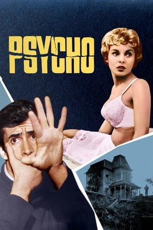 Psycho (1960) ไซโค (ซับไทย)