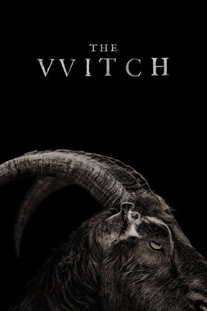 The Witch (2015) เดอะ วิทช์