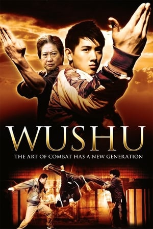 Wushu (2008) เบ่งเต็มฟัด ไอ้หนุ่มวิ่งสู้ฟัด