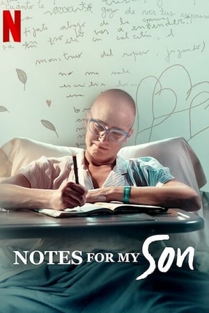 Notes for My Son (2020) นิทานรักจากแม่