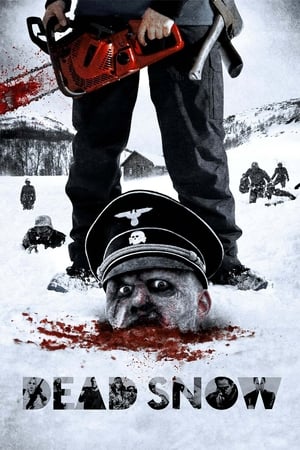 Dead Snow (2009) ผีหิมะ กัดกระชากโหด