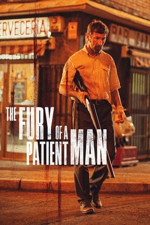 The Fury of a Patient Man (2016) คนเดือด แค้นทรหด