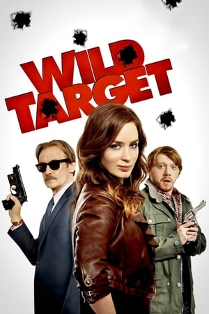 Wild Target (2010) โจรสาวแสบซ่าส์ เจอะนักฆ่ากลับใจ