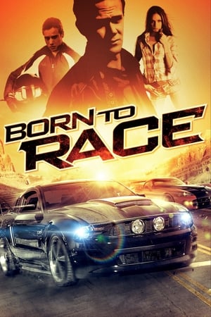 BORN TO RACE (2011) ซิ่งเบียดนรก