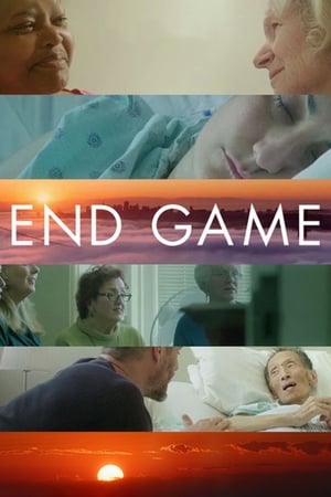 End Game (2018) เมื่อถึงเวลาปิดฉาก