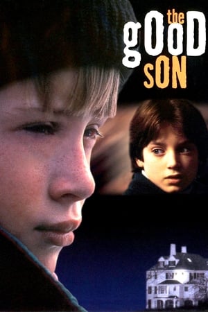 The Good Son (1993) โดดเดี่ยวนิสัยมรณะ