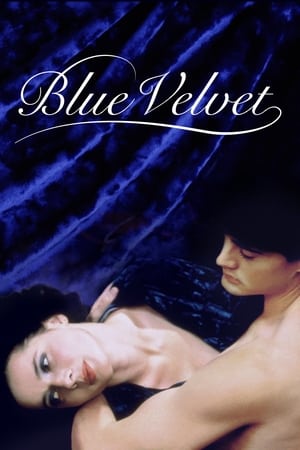 Blue Velvet (1986) เมืองทมิฬ ปมมรณะ