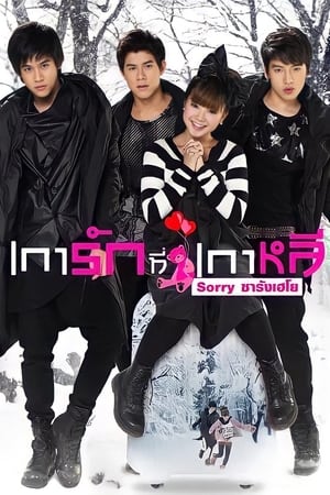 Sorry Saranghaeyo (2010) เการัก ที่เกาหลี Sorry ซารังเฮโย