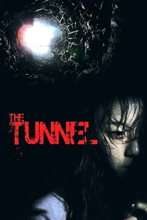Tunnel (2014)