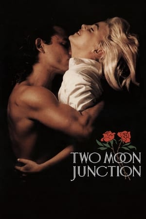Two Moon Junction (1988) จะต้องลองรักสักกี่ครั้ง
